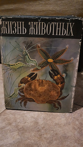 Müüa raamatusari (1 foto / 2)