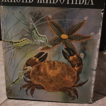 Müüa raamatusari