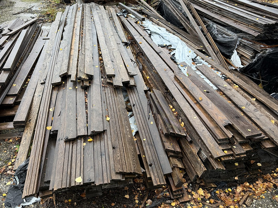 Siberi lehise laudade jäägid