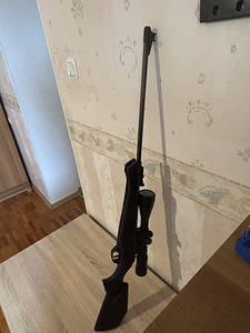 Õhupüss (3 foto / 8)