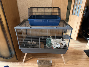 Zolux Neolife Rab1 Näriliste puur | Puur närilistele (1 foto / 9)