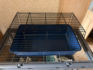Zolux Neolife Rab1 Näriliste puur | Puur närilistele (3 foto / 9)