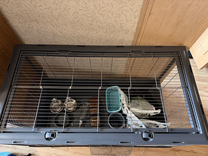 Zolux Neolife Rab1 Näriliste puur | Puur närilistele (5 foto / 9)