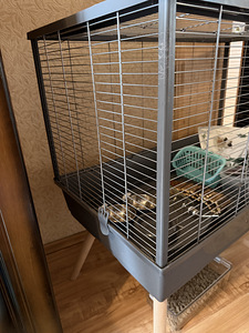 Zolux Neolife Rab1 Näriliste puur | Puur närilistele (8 foto / 9)