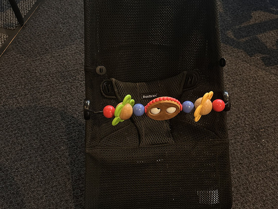 Babybjörn