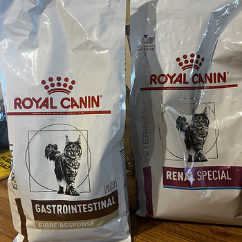 Royal canin gastrointestinal ja renal special