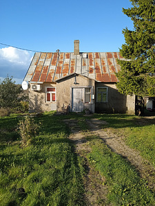 Triigi, Kaliküla, Viru-Nigula vald, Lääne-Virumaa (1 foto / 21)