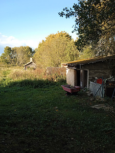 Triigi, Kaliküla, Viru-Nigula vald, Lääne-Virumaa (21 foto / 21)