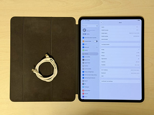 Apple iPad Pro 13 M4 SpB 256GB WiFi, nagu uus! (3 foto / 5)