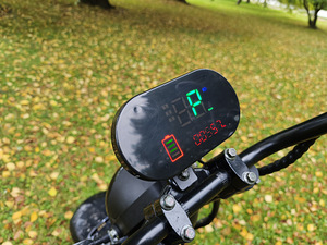 Elektriline chopper CITYCOCO 1kw 20ah 60v (3 foto / 10)