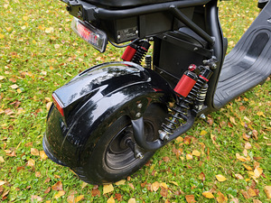 Elektriline chopper CITYCOCO 1kw 20ah 60v (9 foto / 10)