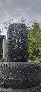 Naastrehvid / 225 50 17 / Nokian Hakkapeliitta 9 (2 foto / 4)