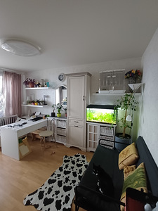 Kolde pst 102, Põhja-Tallinn, Tallinn, Harjumaa (28 foto / 32)