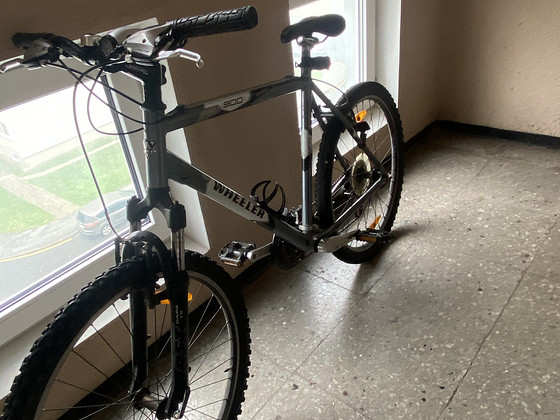 Bike Wheeler 900