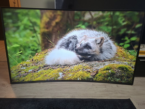 65" Samsung 4K UHD teler SmartTV (1 foto / 6)