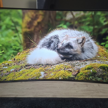 65" Samsung 4K UHD teler SmartTV