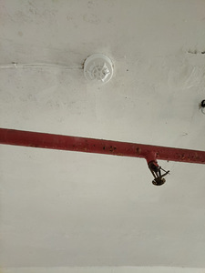 Võidujooksu tn 7f, Lasnamäe, Tallinn, Harjumaa (2 foto / 5)