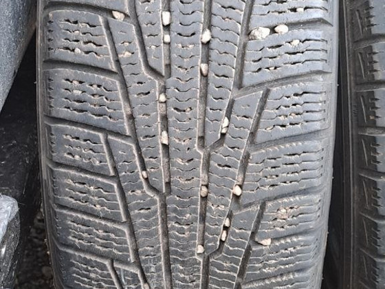 M+S / 175 65 14 / Nokian