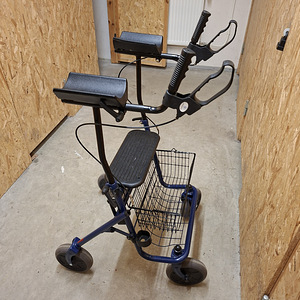 Rulaator (2 foto / 3)