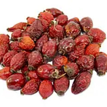 Kibuvits