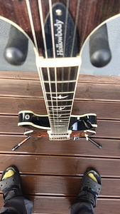Elektrikitarr PRS SE Hollowbody Standard koos kohvriga (8 foto / 9)