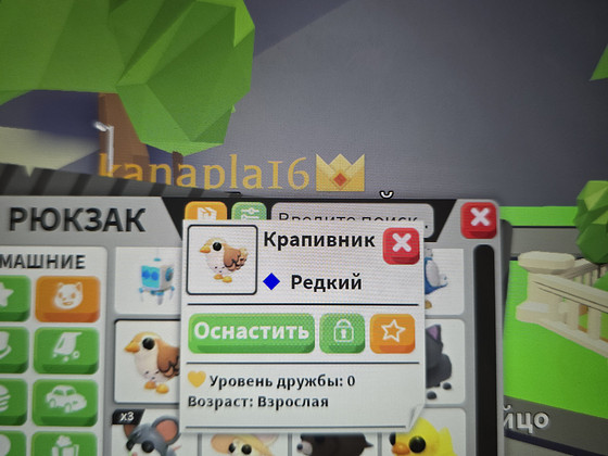 Питомцы из Adopt me