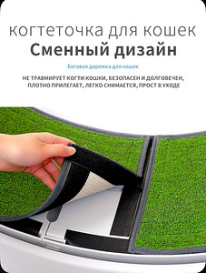 Jooksuratas kassidele (6 foto / 7)