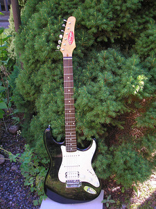 Kitarr STAGG stratocaster (1 foto / 6)