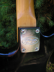 Kitarr STAGG stratocaster (6 foto / 6)