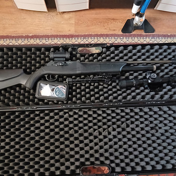 Walter Dominator 1250