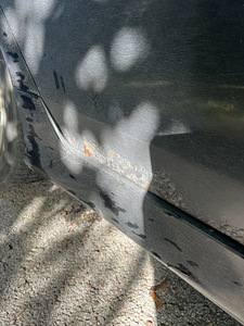 Honda Accord (8 фото из 9)