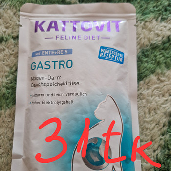Kattovit gastro kassidele