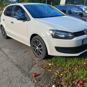 Wv Polo