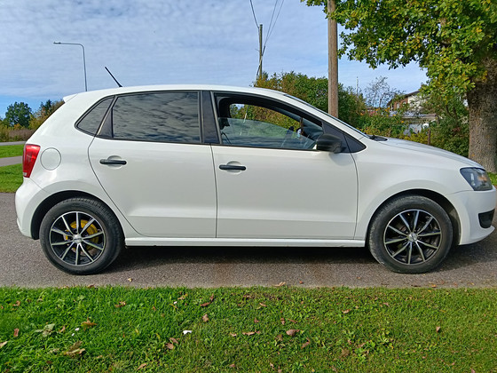 Wv Polo