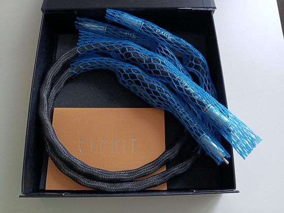 Esprit aura RCA