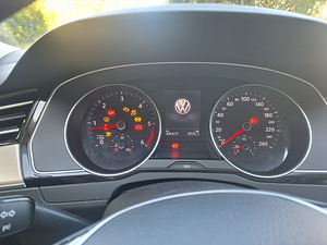 Diisel passat (4 foto / 12)