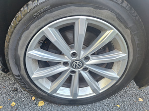 Diisel passat (12 foto / 12)
