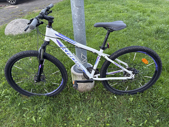 Jalgratas Kross Lea 3.0