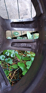 Valuveljed R16 (2 foto / 3)