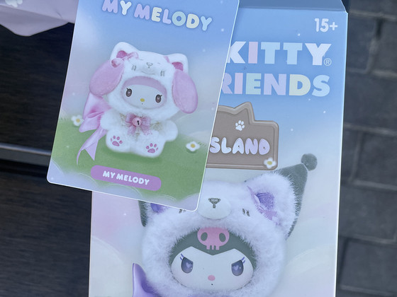 Kotikaunistus kotile Sanrio