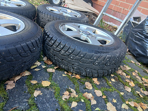 Naastrehvid (2 foto / 3)