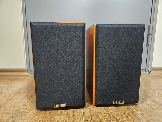 Полочная акустика Usher S-520
