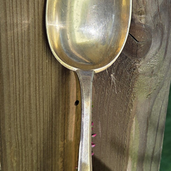 Lusikas hõbedaprooviga 875