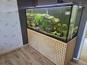 Аквариум 420 л (2 фото из 2)