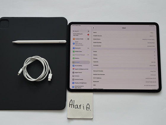 13" iPad PRO M4 LTE. В комплекте карандаш и чехол