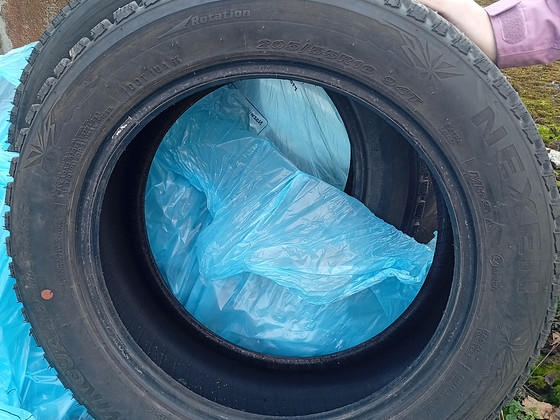 Зимняя резина. Комплект. Nexen Winguard Winspike. 205/55 R16