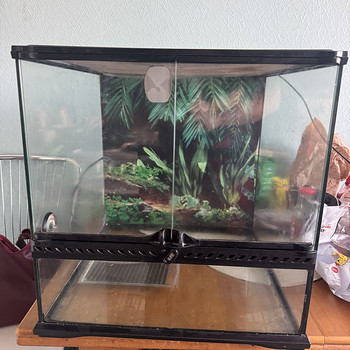 Terraarium