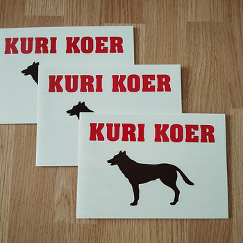 Kuri koer
