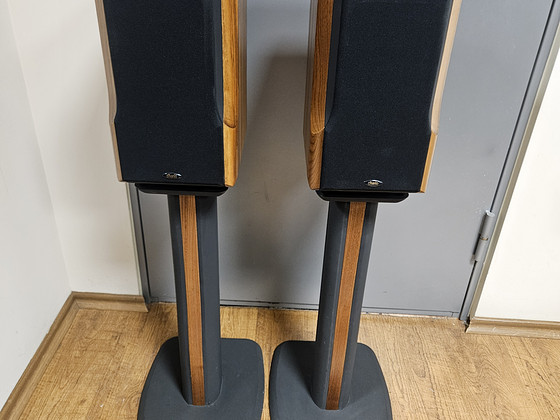 Chario Constellation Lynx High-End колонки и стойки Chario