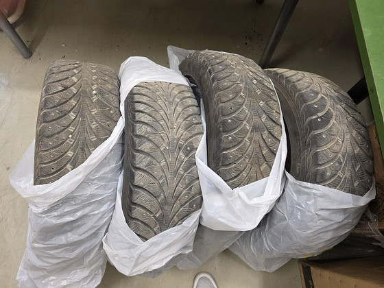 Sava Eskimo Stud 215/55/R17 шипованные шины